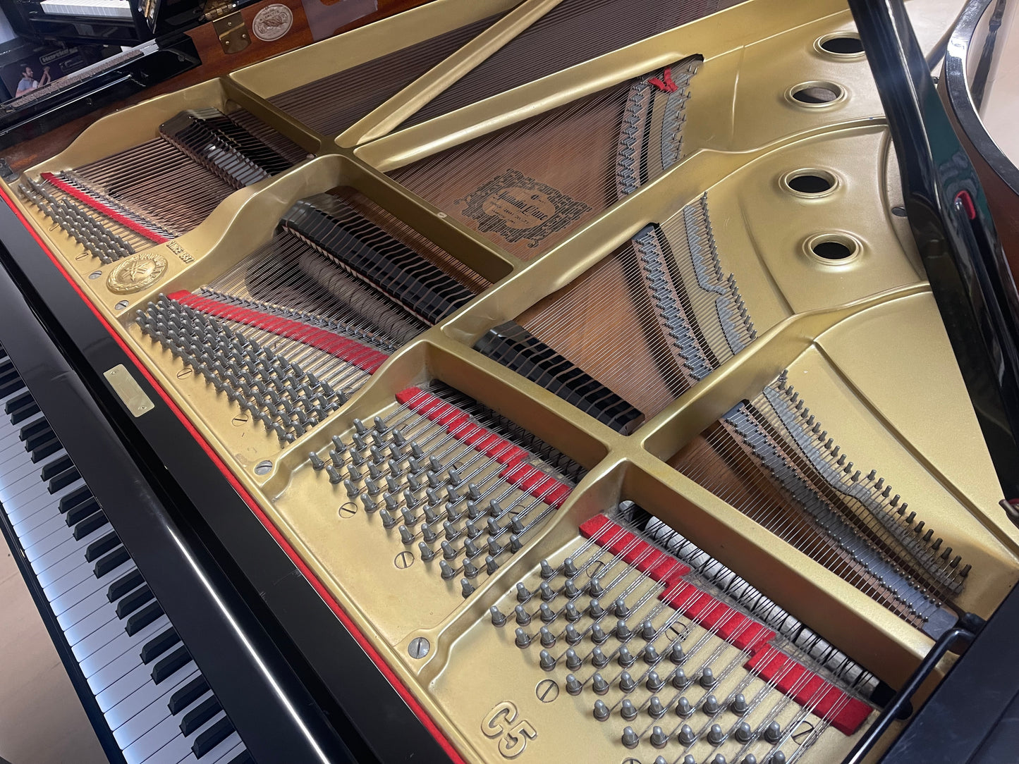 Yamaha C5 - Piano de 1/2 cola Negro ( Ocasión )